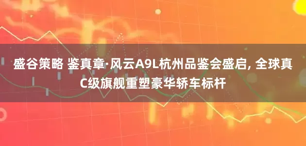 盛谷策略 鉴真章·风云A9L杭州品鉴会盛启, 全球真C级旗舰重塑豪华轿车标杆