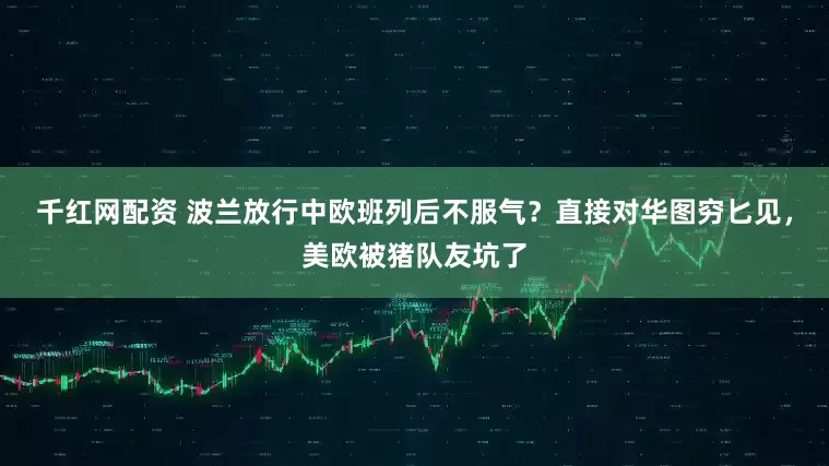 千红网配资 波兰放行中欧班列后不服气？直接对华图穷匕见，美欧被猪队友坑了